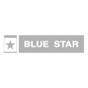 Blue star